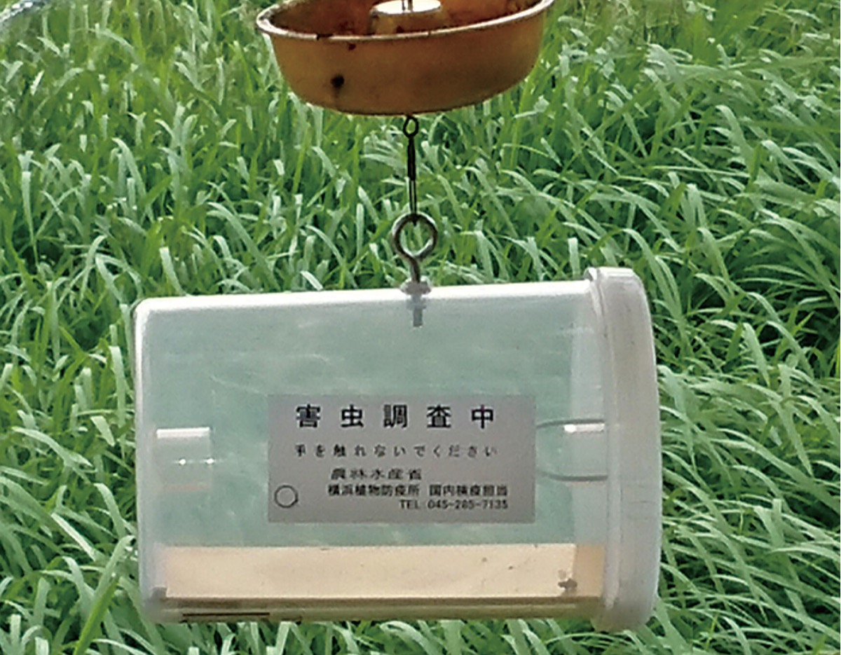 『新しい花と緑の文化が始まった町』