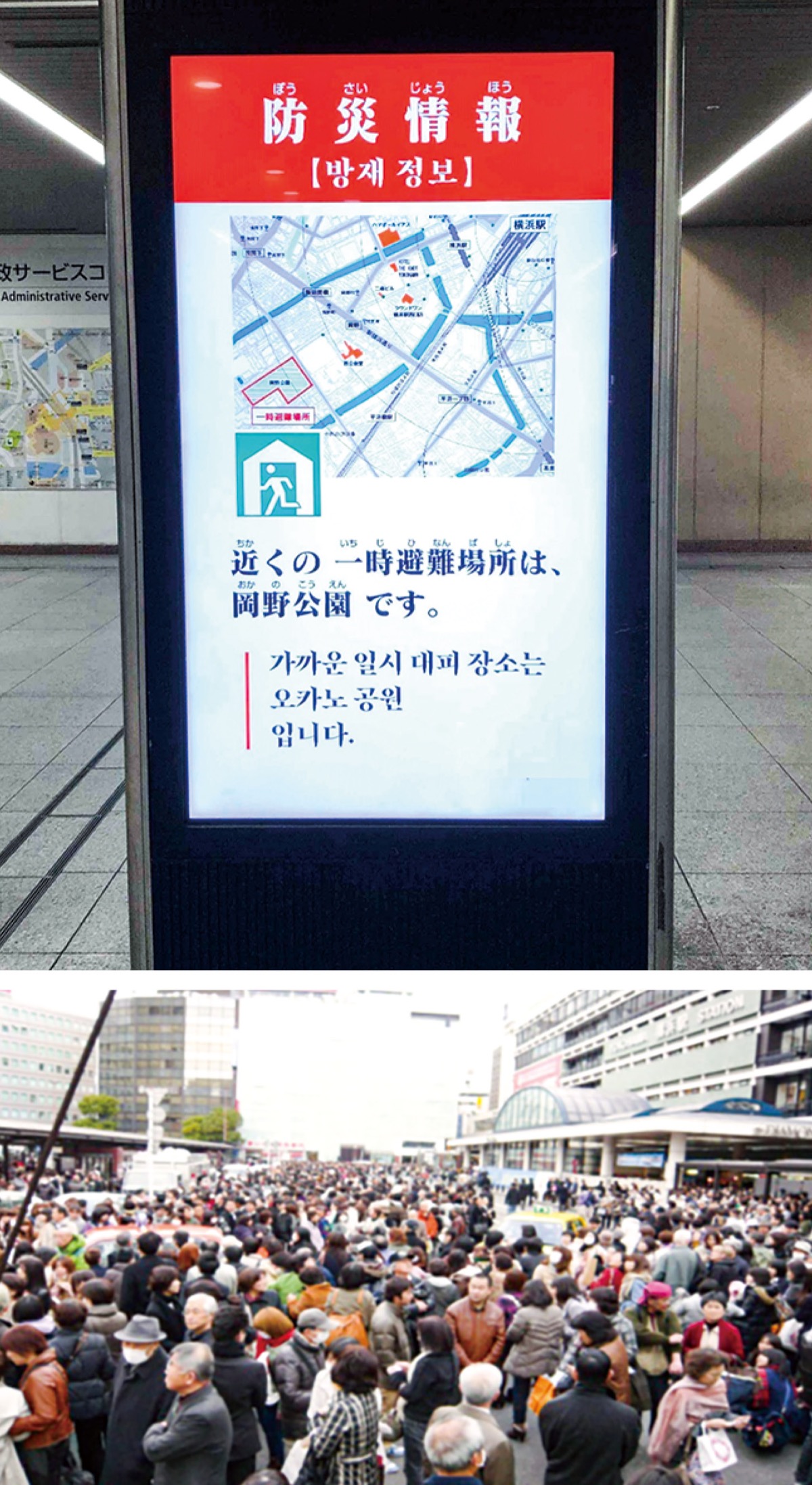 横浜駅から２０Km以内は無料配送 2021年製　４Kテレビ　TLC 43P8B 横浜駅から20Km以内は無料配送 2021年製 4Kテレビ TLC 43P8B 横浜