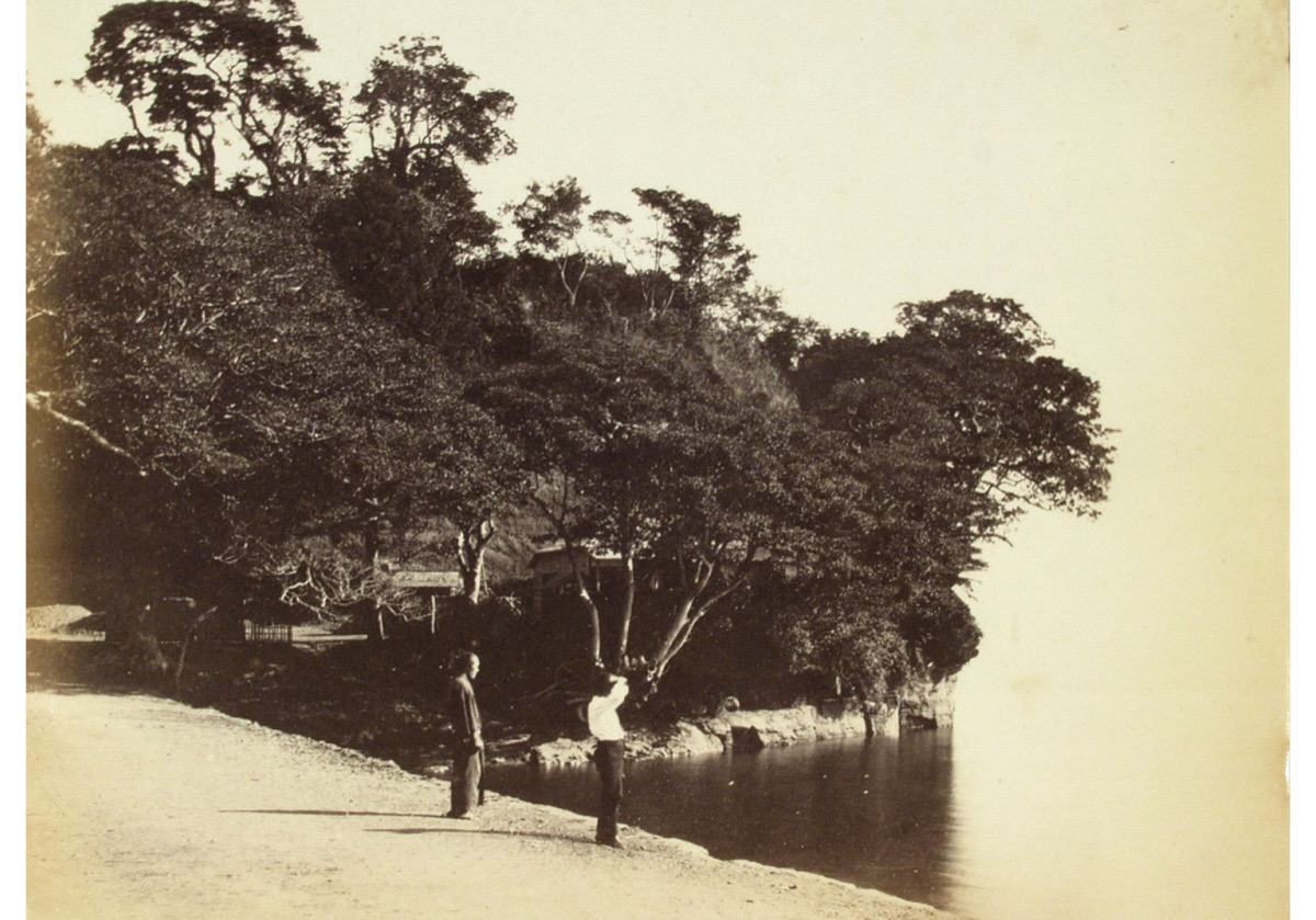 『本牧十二天』