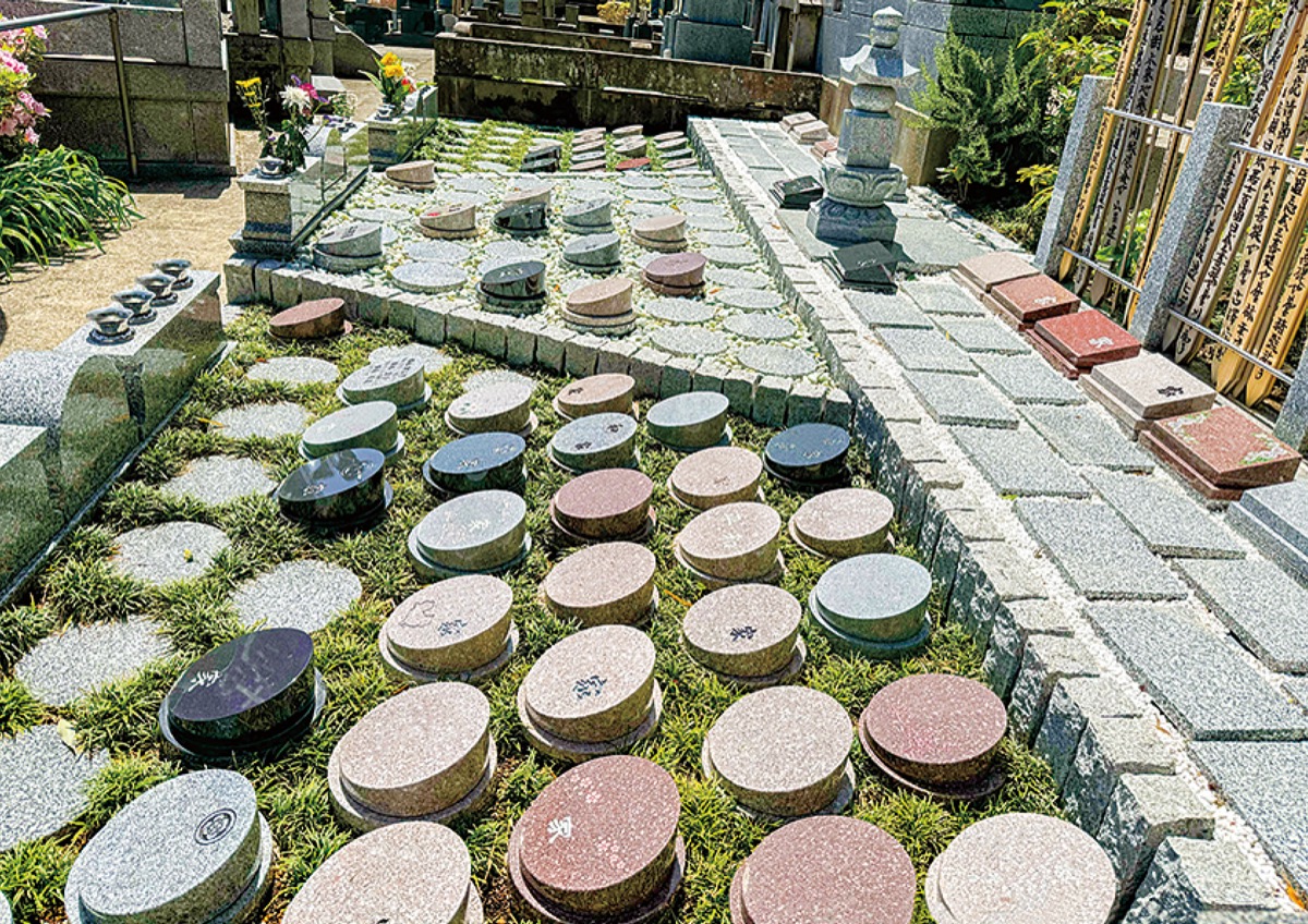 ｢しだれ桜の寺｣の樹木葬墓地