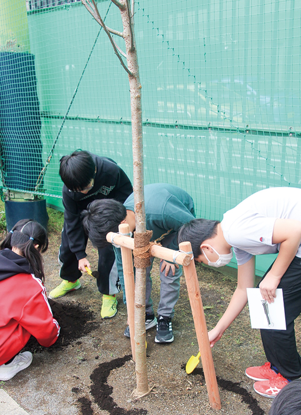 １２０周年で桜を植樹