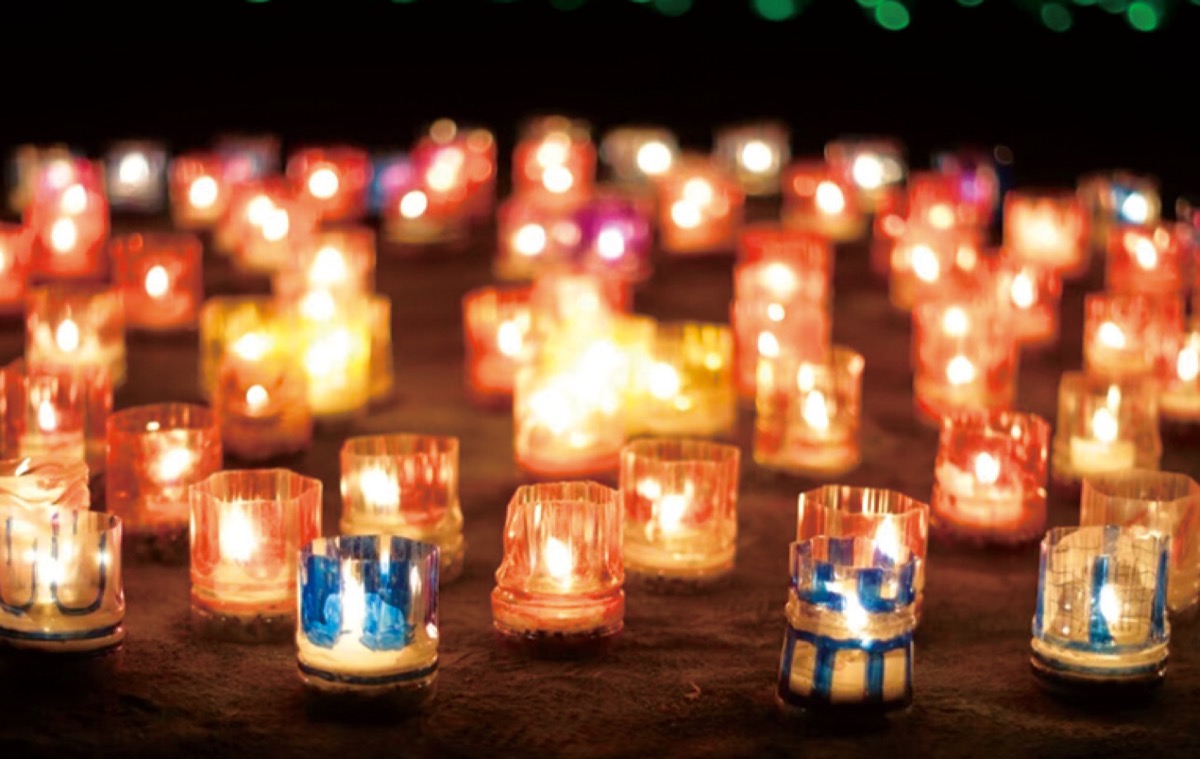 蒔田公園に｢光の遊歩道｣