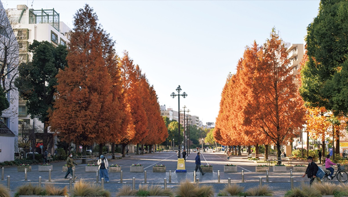 再整備プラン策定