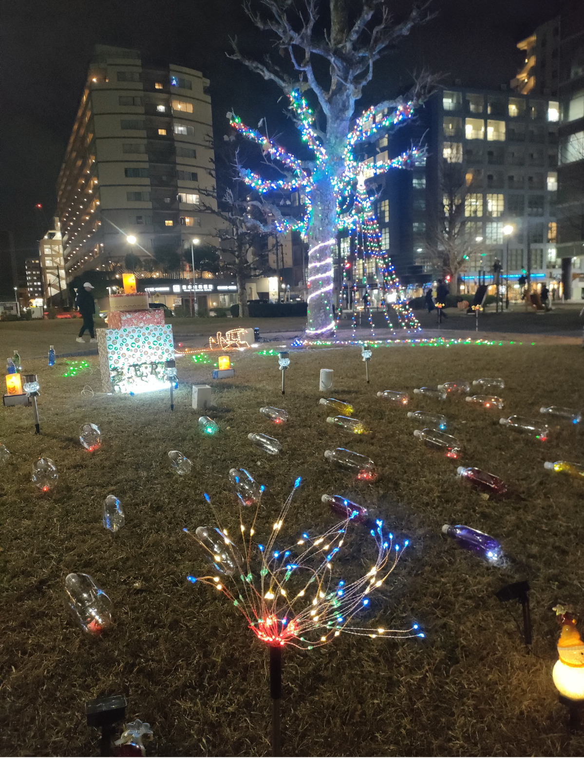 中区・日ノ出川公園で初のイルミネーションイベント