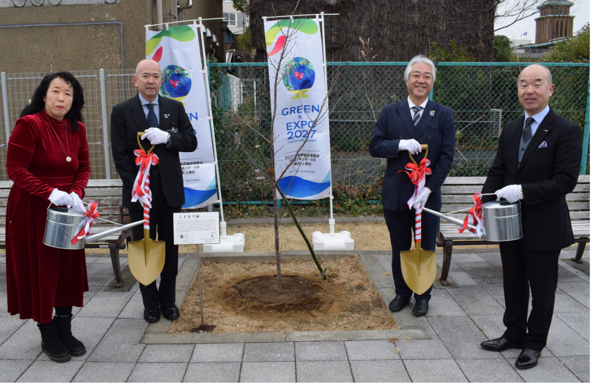 象の鼻パークにシドモア桜を植樹