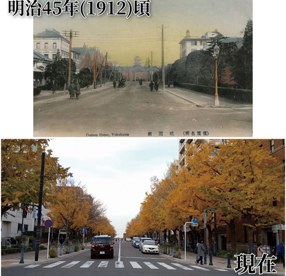 日本大通りの同じ場所とアングルで撮影された２枚の写真を比較した「横濱今昔写真」。（「横濱今昔写真」のInstagramより）