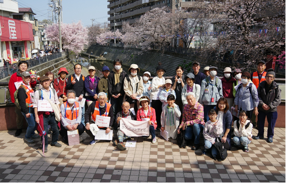 大岡川の桜並木、歩いて学ぶ歴史と保全　南区さくらボランティアの会などが散策イベント (写真2)