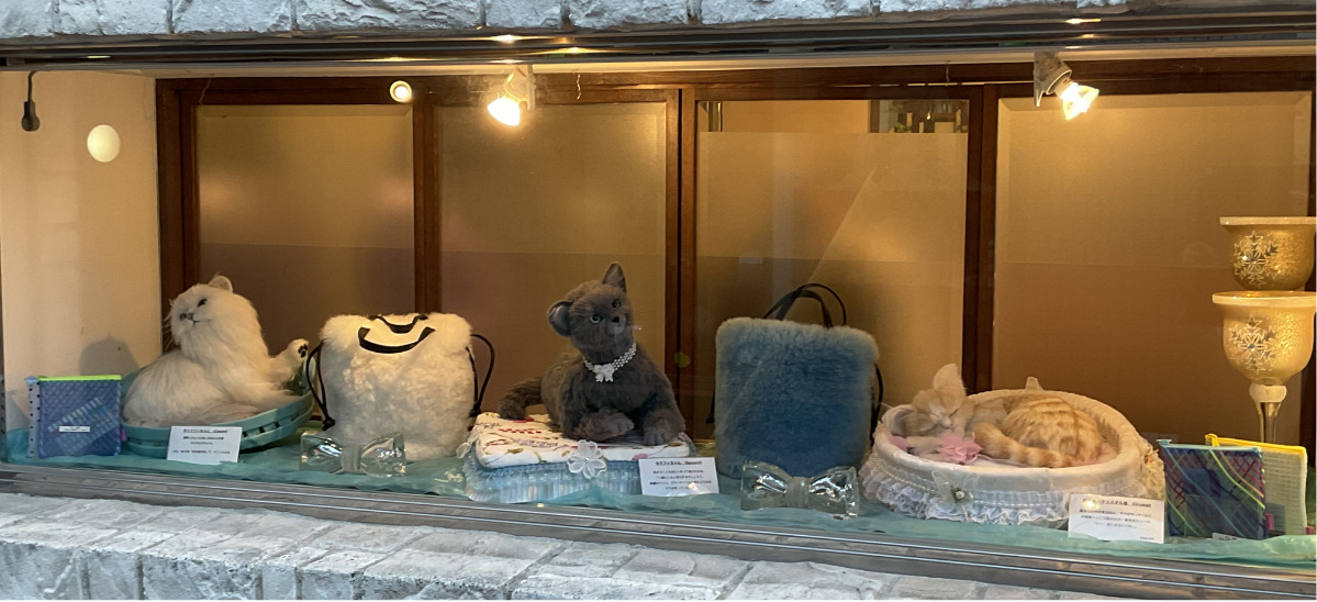 ショーウインドーで愛嬌のある様々な種類の猫がお出迎え