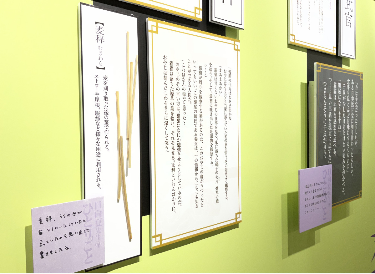 「日向夏先生のひとりごと」と題した作者のコメントから、ストーリーの舞台裏を知ることができる