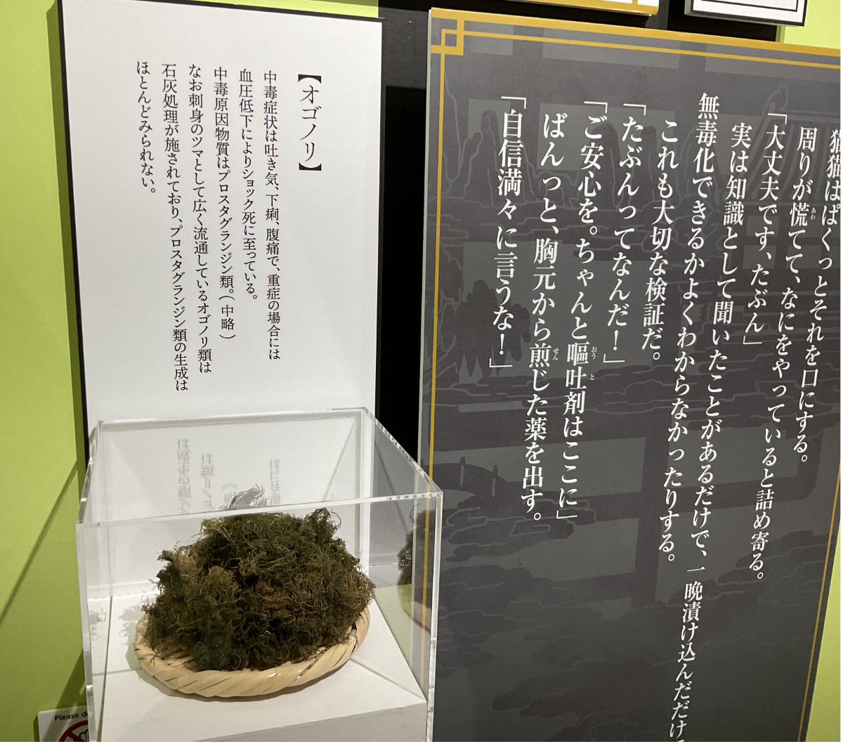 作中に出てくる薬や毒についての展示解説も同展ならでは