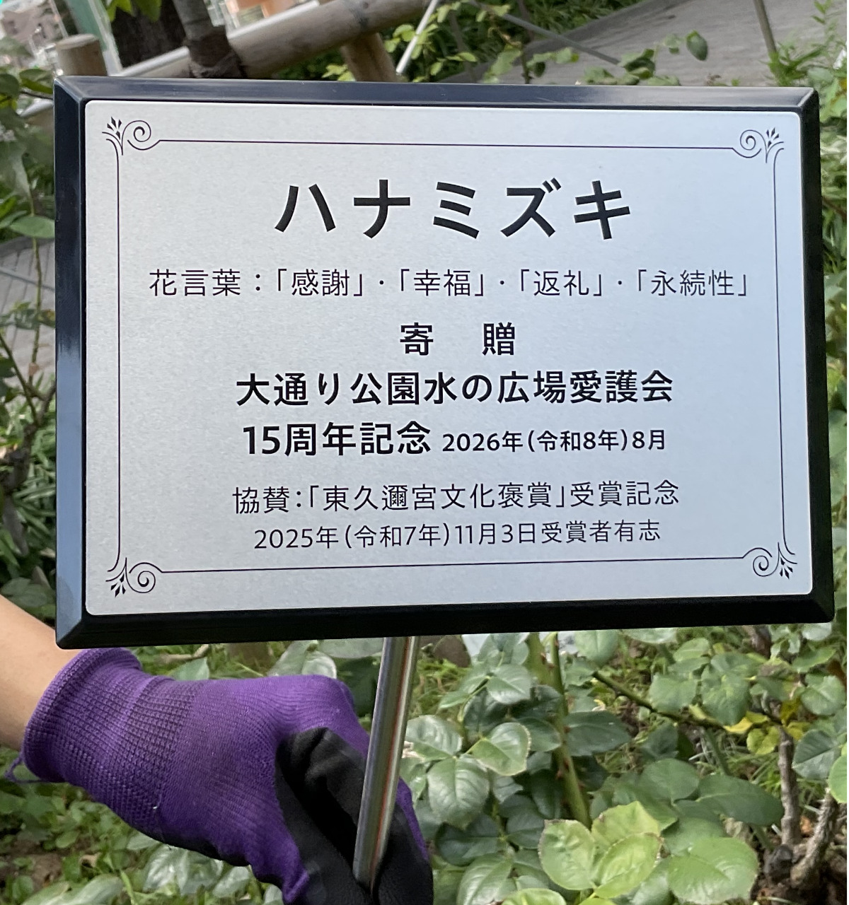 植樹記念のプレート。ハナミズキの花言葉「感謝」「幸福」「返礼」「永続性」に15周年の思いが込められている