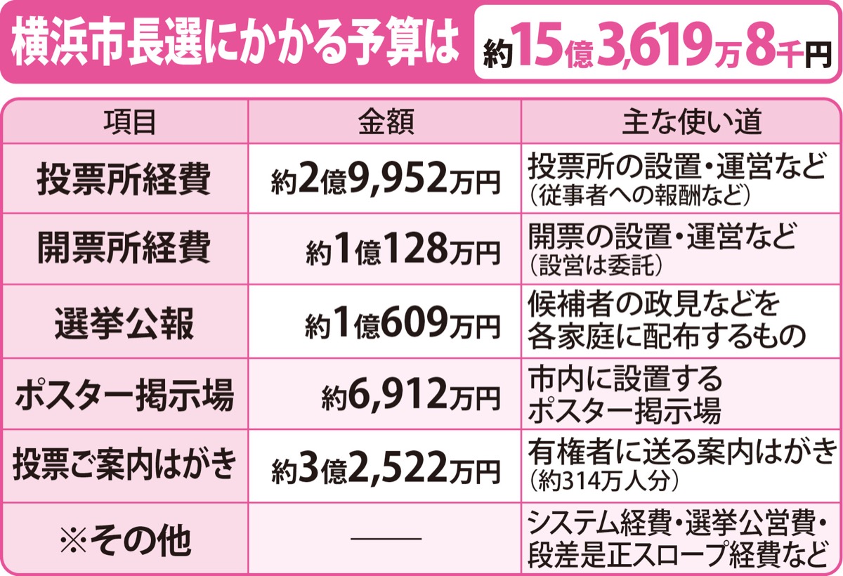投票率80%の横浜目指して (写真2)