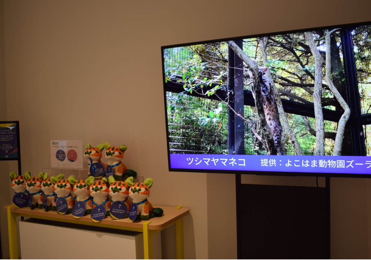 ワンダリア横浜のエントランスで行われているパネル展示と動画放映