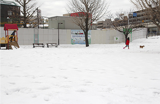 雪に覆われた蒔田公園（15日）