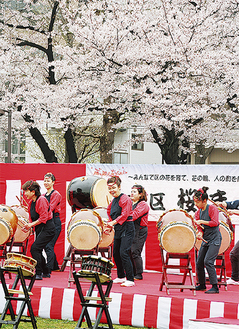 桜の前に設けられた舞台で行われた太鼓演奏