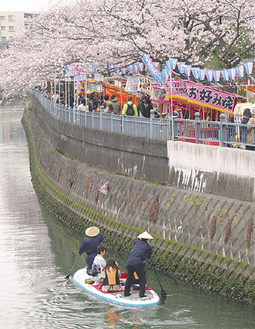 桜が満開の大岡川沿い（昨年）