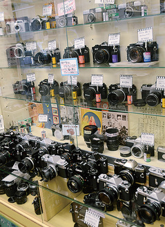 同店では多くのフィルムカメラを販売している