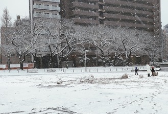 雪景色となった蒔田公園（６日午後４時ごろ）