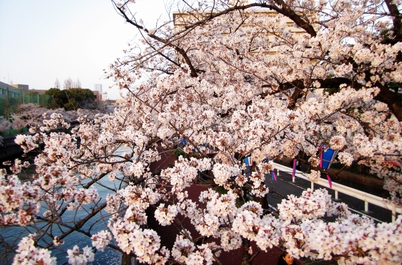 あっとほーむデスク