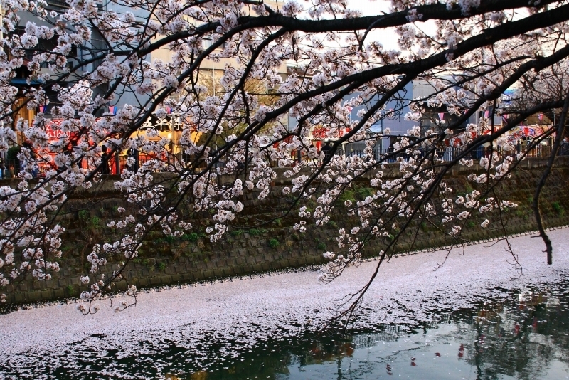 あっとほーむデスク