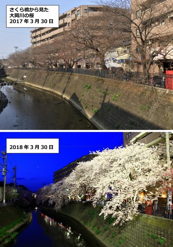 あっとほーむデスク