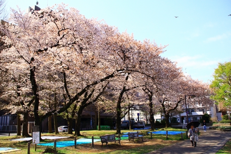 あっとほーむデスク