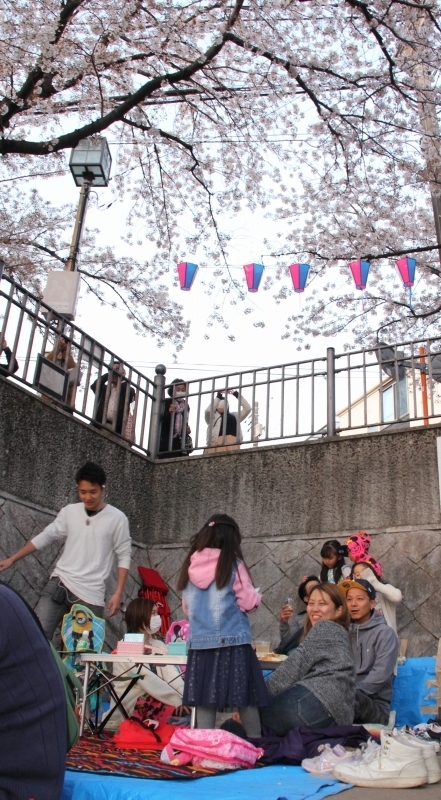 あっとほーむデスク