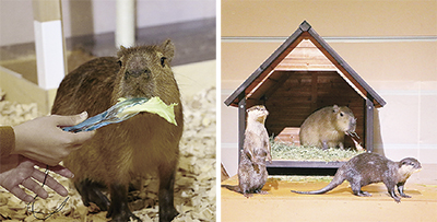 三世代で楽しむシーパラ