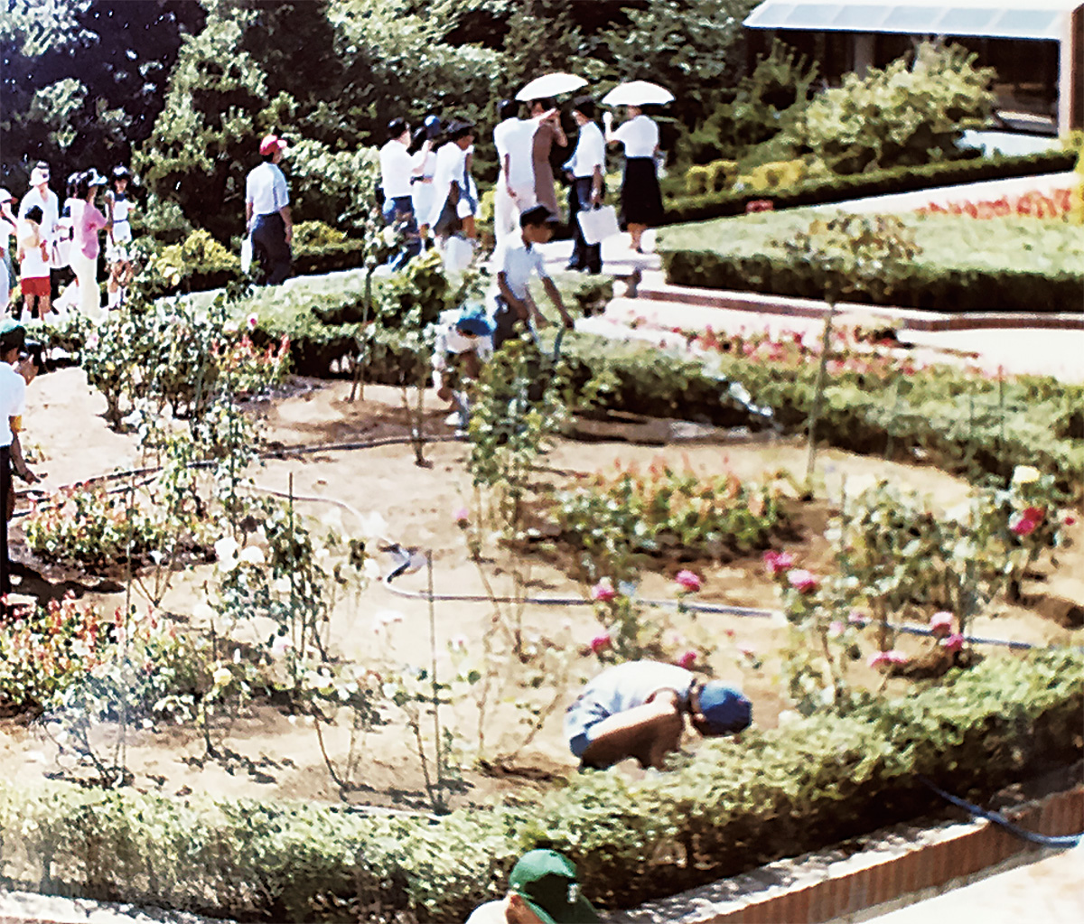 こども植物園が40年