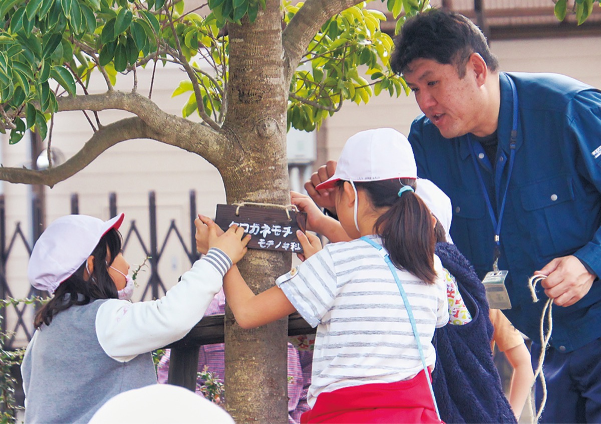 公園の木 名前知って