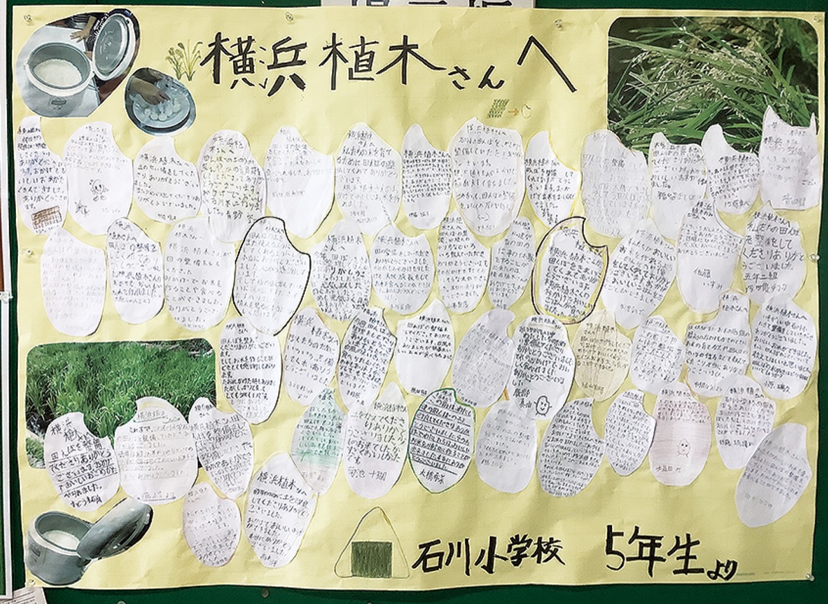 「お米育った、ありがとう」