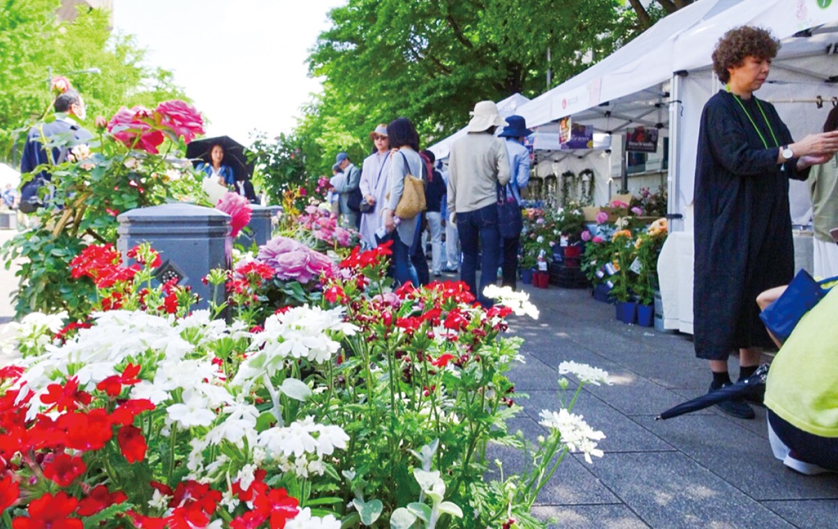 秋バラ楽しむ２日間 日本大通りで31日から 南区 タウンニュース