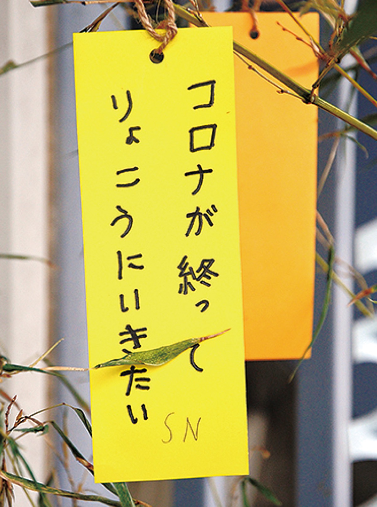 願いが書かれた短冊