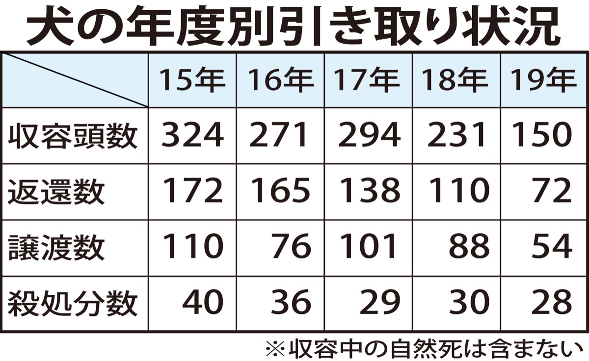 動物愛護センター 犬の殺処分 過去最少に 引き取り 初の100頭台 南区 タウンニュース 動物愛護センター 犬の殺処分 過去最少に 引き取り 初の100頭台 南区 タウンニュース