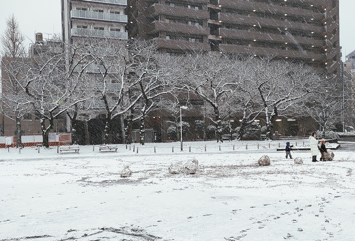 雪景色となった蒔田公園(6日午後4時ごろ)