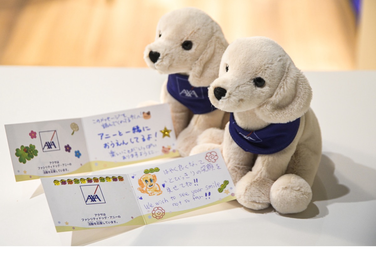 ぬいぐるみ、メッセージカードも