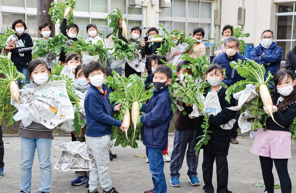 小学校で大根収穫支援