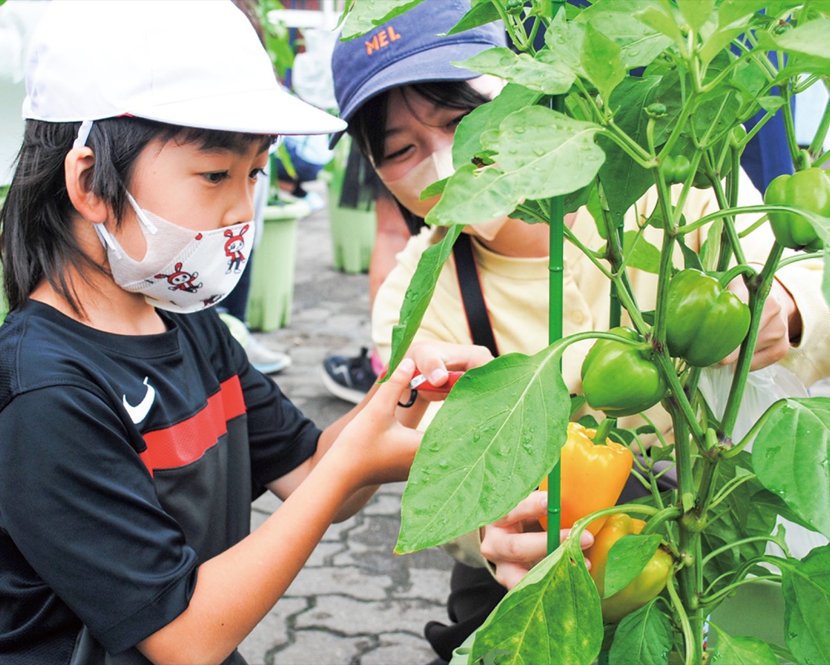 事業生かす取組を