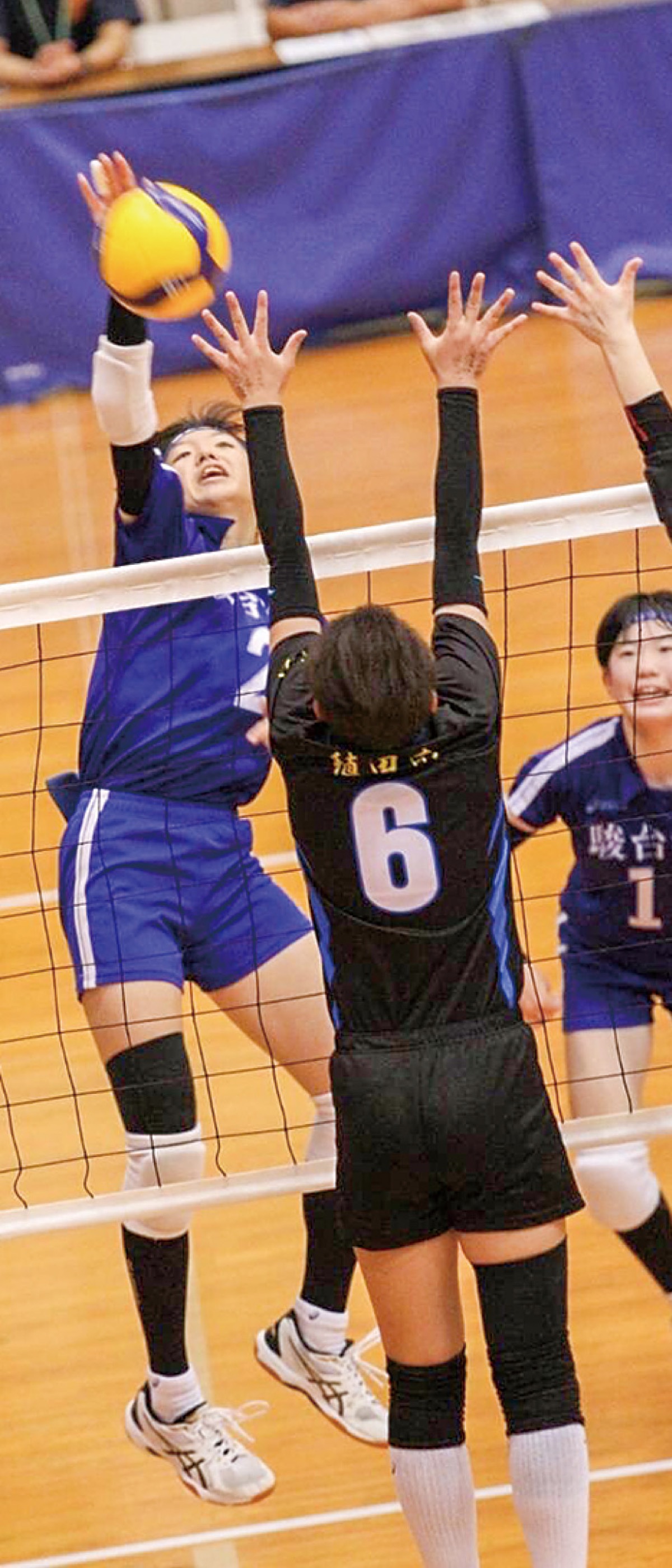 佐藤さん 全中３位に貢献