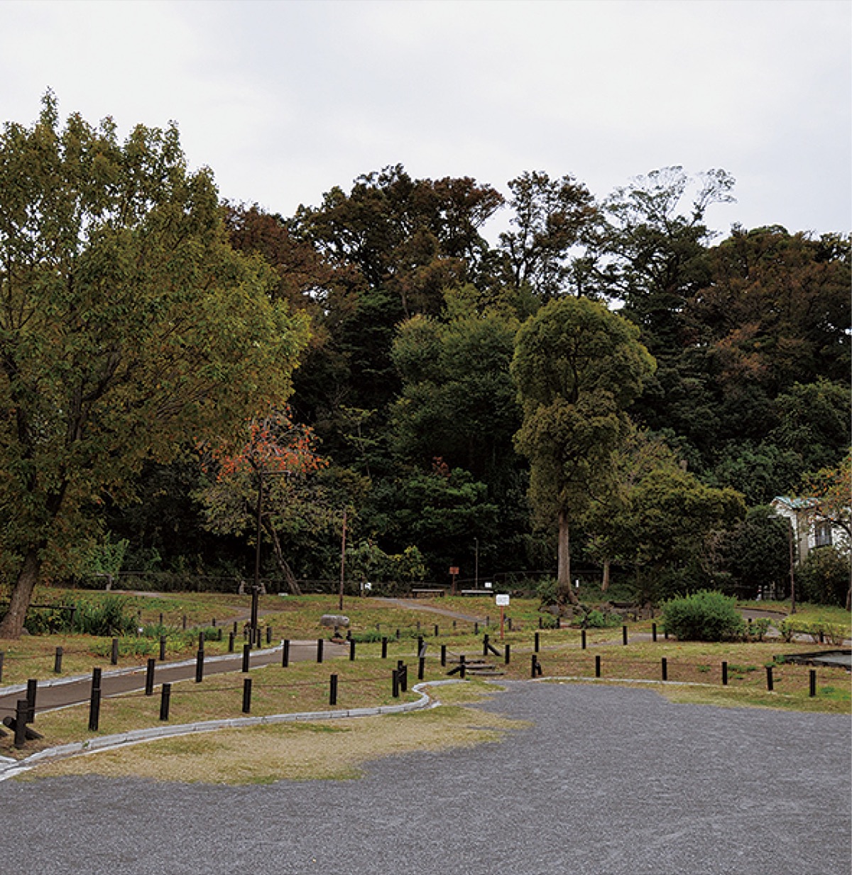 蒔田の森公園でコンサート