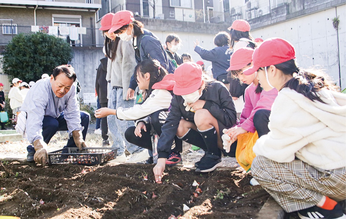 公園に花の球根