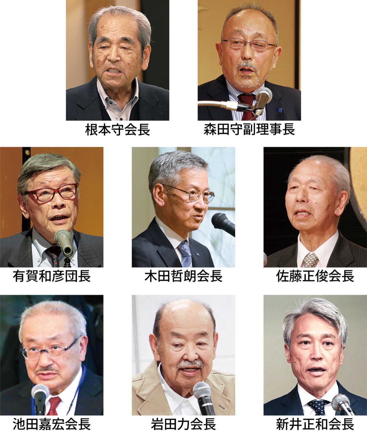 辰年の平安願う