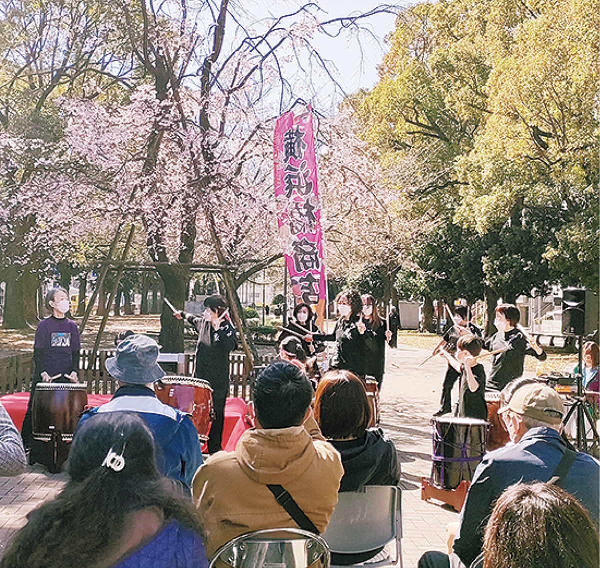 ｢歌丸桜｣前でまつり