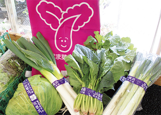 「はま菜ちゃん」のロゴをつけて販売されている横浜産野菜（ＪＡ横浜直売所）