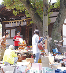 橘樹神社の骨董市も賑わった