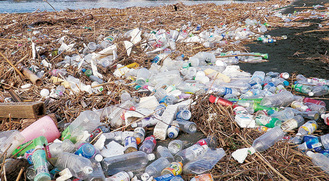 プラスチックごみで覆われる神奈川県内の河川の河口提供：公益財団法人かながわ海岸美化財団