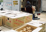 例年は７月中旬に鹿児島の醸造元にジャガイモが出荷されている