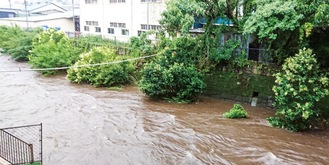 豪雨で増水した帷子川（昨年７月３日）