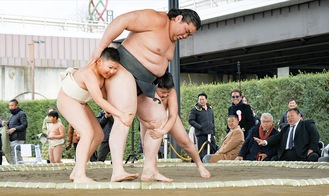 伊勢ヶ濱部屋の力士と相撲を取る子どもたち