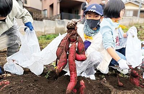 農業体験などを予定